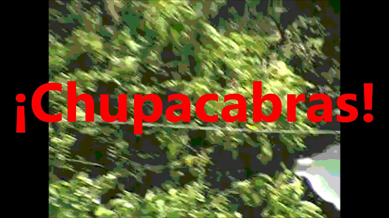 Videos de Terror Reales 79 (Chupacabras)
