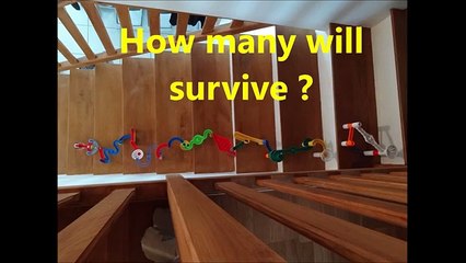 Dominos + stairs + tricks. Look it