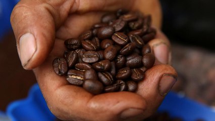 Caffé a rischio a causa del riscaldamento globale