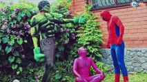 Spiderman vs EVIL FROZEN ELSA! Superheroes in Real Life w/ Hulk Pink SpiderGirl Maleficent Joker