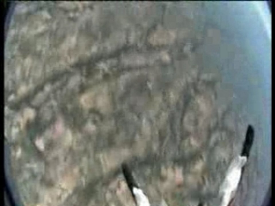 Sky fucking diving ( skydiving , freefly , as good as sex )