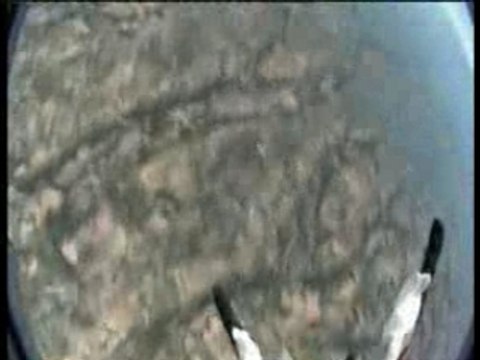 Sky fucking diving ( skydiving , freefly , as good as sex )