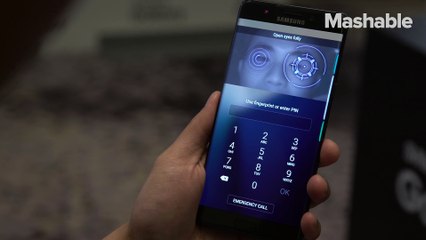 Testing: Avocados are here to stay