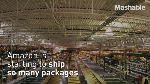 Amazon has so many orders that it needs its own cargo plane