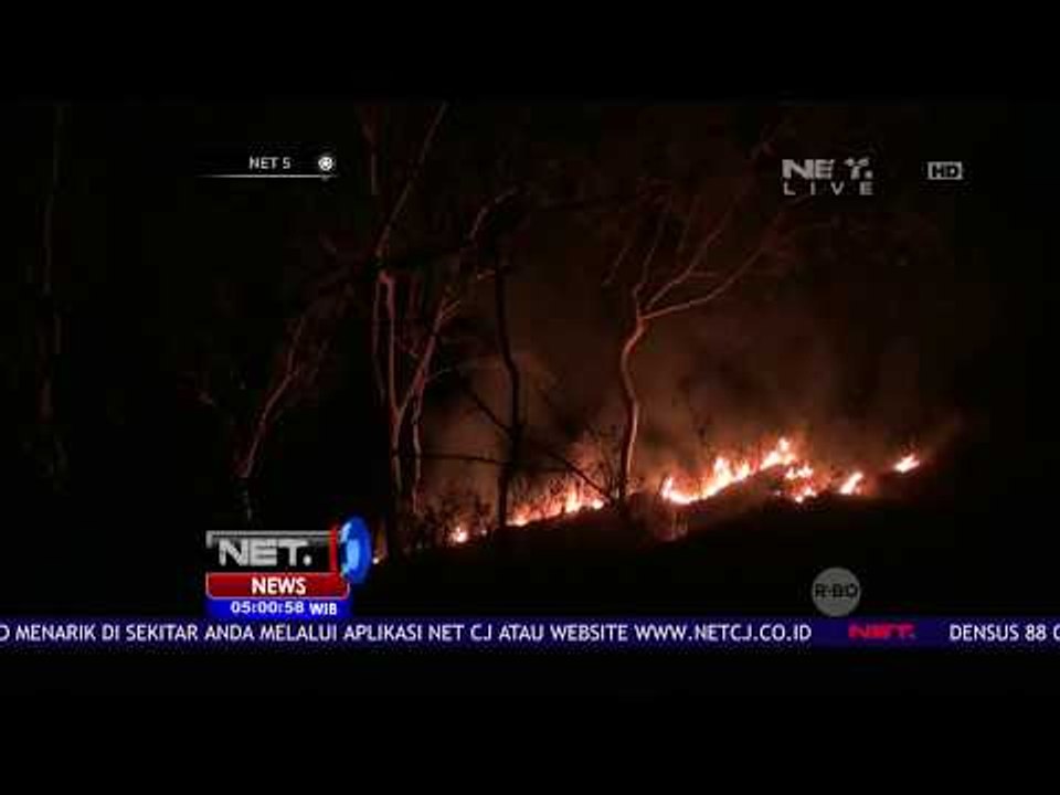 Diduga Ulah Oknum, Kebakaran Hutan Jati Milik P...
