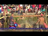 Keseruan Lomba Pukul Bantal di Sawah Maros Sulawe Selatan - NET12