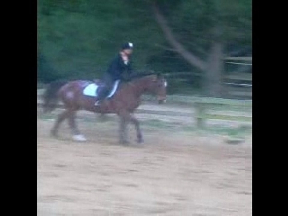 Ma jument et moi en plat <3