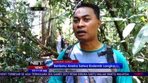 Menikmati Wisata Bukit Lawang, Melihat Dan Menjaga Kelestarian Satwa Dilindungi   NET 5