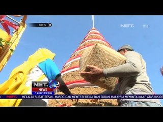 Tiwul Raksasa, Setinggi 5,4 Meter Mencatatkan Rekor Muri   NET 12