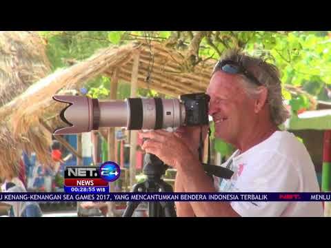 Kejuaraan Surfing Internasional di Pacitan Jawa Timur - Net 24