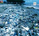 Impact négatif du plastique sur le globe terrestre