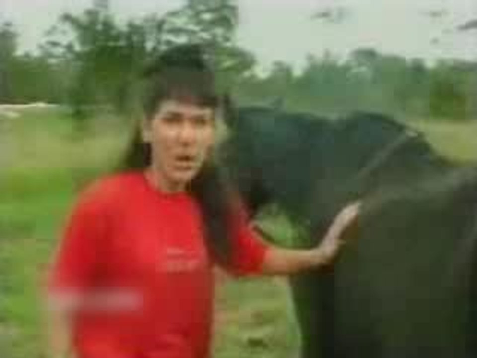 2006video_presentadora_caballo