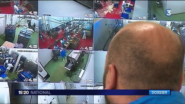 En Bulgarie, la production de foie gras en constante augmentation