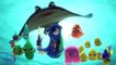 Finding Dory - Marlin & Nemo Best Moments # 1 HD - Disney/Pixar Animation 2016