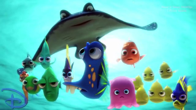 Finding Dory - Marlin & Nemo Best Moments # 1 HD - Disney/Pixar Animation 2016