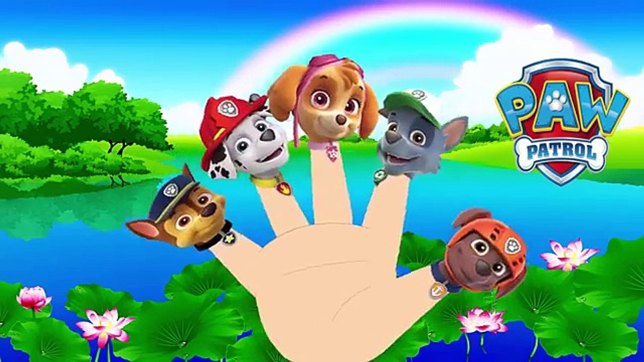 Paw Patrol Finger Family Song Nursery Rhymes For Kids│Daddy Finger Family Nursery Rhymes Lyrics