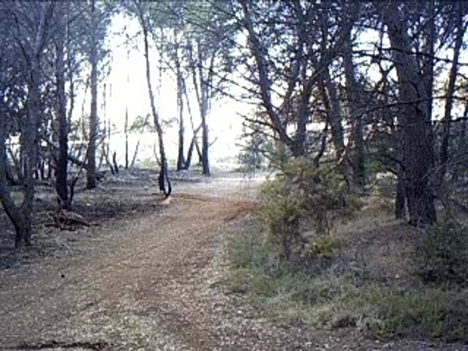 pit bike kevin et moi course 2