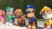 Patrulla canina español y peppa pig olimpiadas en la piscina/Capitulo 26 Paw Patrol y Peppa Pig