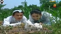 Chinese Drama Martial Art Movies - Tai Chi Master Episode 34 Best Martial Art Movie English Subtitle , Tv series movies