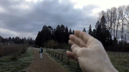 [MP4 1080p] Dragon caught on tape 2017 - Real dragon sighting larsen lake