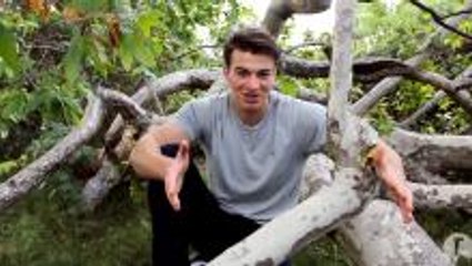 Determination: Reaching Goals