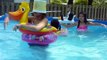 Erlindas babies having fun playing marco polo game in swimming pool August new
