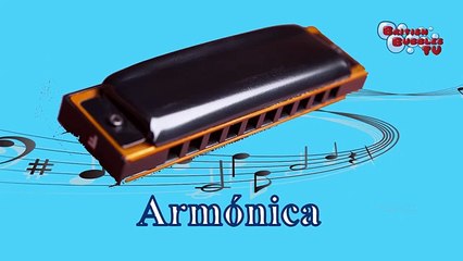 Los sonidos de los instrumentos musicales - Juego educativo