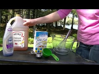 Homemade Weed Killer for Pathways & Driveways Kid/Pet Safe