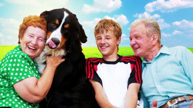 NuVet Labs Products - Pet Vitamin Supplements for Your Dog & Cat