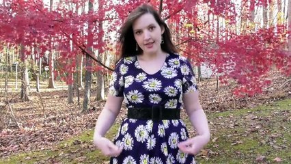 DIY Lace Skater Dress with Sleeves + Lining - How to Sew Stretch Fabric