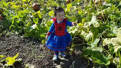 Spider-Kids vs Pumpkin Patch | Halloween Fun with Spiderman Costumes for Kids - Part 1