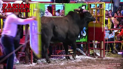 ¡TODOS AYUDARON AL JINETE EN RIESGO! RANCHO LA MISION vs AVES DE HIERRO YANHUITLÁN OAXACA 2017