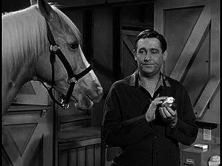 Mister Ed S05E23-Robin Hood Ed