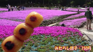 2016-04-24 花のじゅうたん～道の駅いながわ