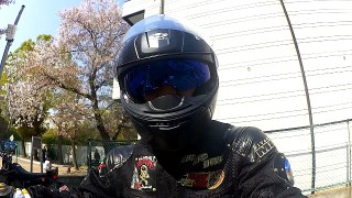 2017-04-14信楽・彦根、桜ツーリング