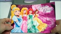 DISNEY princess sticker box set!!! ディズニープリンセス!!