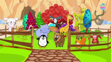 ABC Phonics Zoo Song | Alphabets Animals Song | ABC Song For Kids And Children By Baby Time