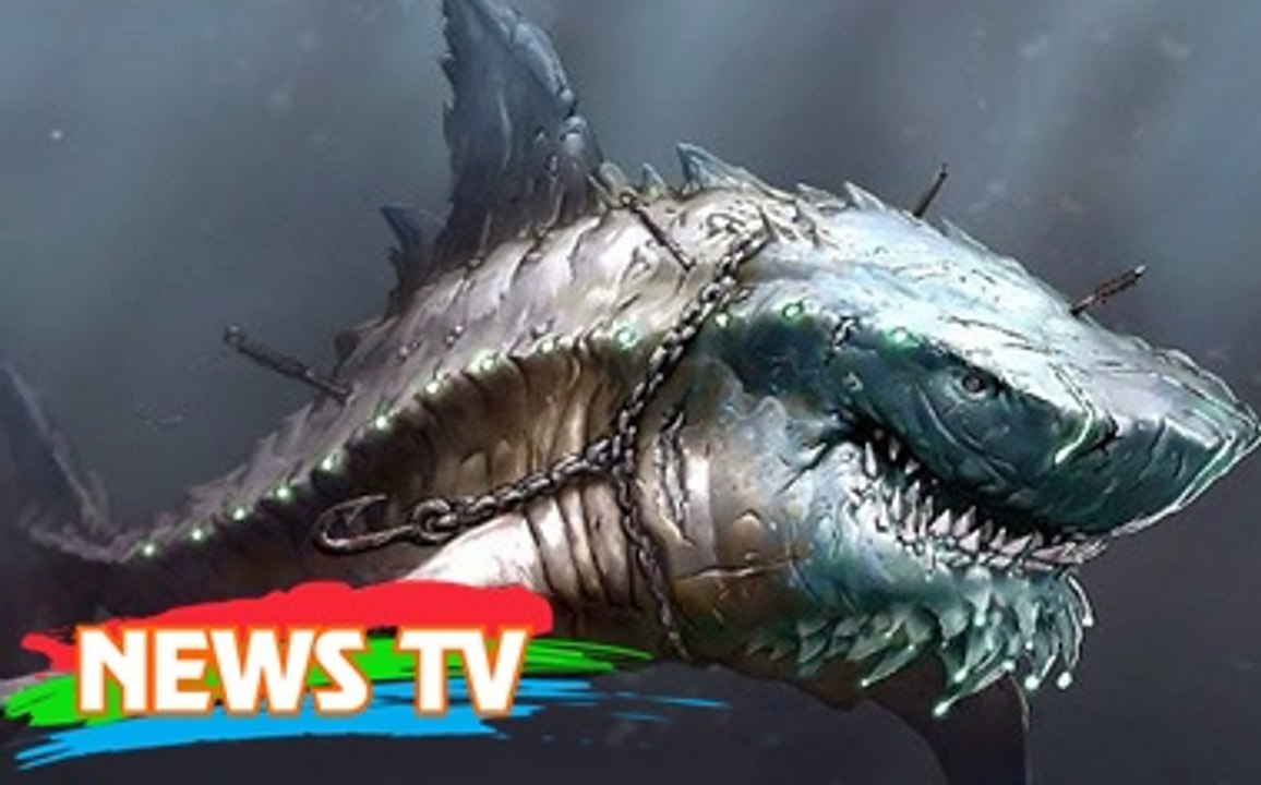 Top 10 loài cá mập lớn nhất từng tồn tại