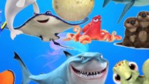 Learn Sea Animals   Water Animals Names and Counting to 10 with Ocean Dory Cartoon Animal For Kids
