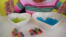 GIANT ORBEEZ!! Kids Science Review | Toys AndMe