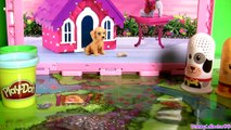 Play Doh Fuzzy Pet Salon Animal Activities Playset - Peluquería de Mascotas y Animales!