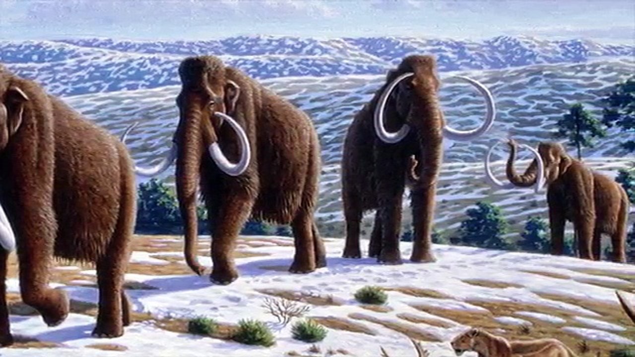 The Mission to Resurrect the Woolly Mammoth