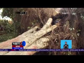 2 Bocah SD Tewas Tertimpa Pohon Saat Upacara - Net 16