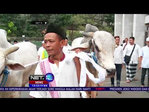Wapres Rayakan Idul Adha di Masjid Istiqlal - NET12