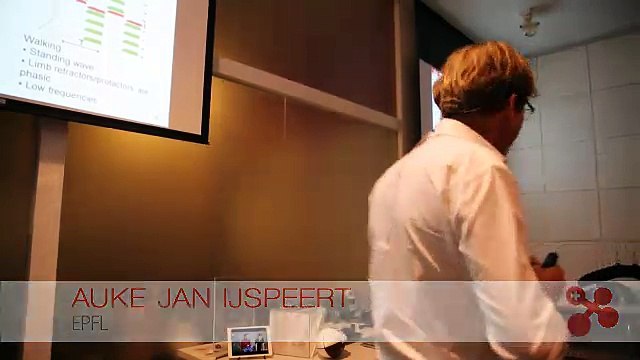 Programming a Robot to Walk or Swim Like a Salamander