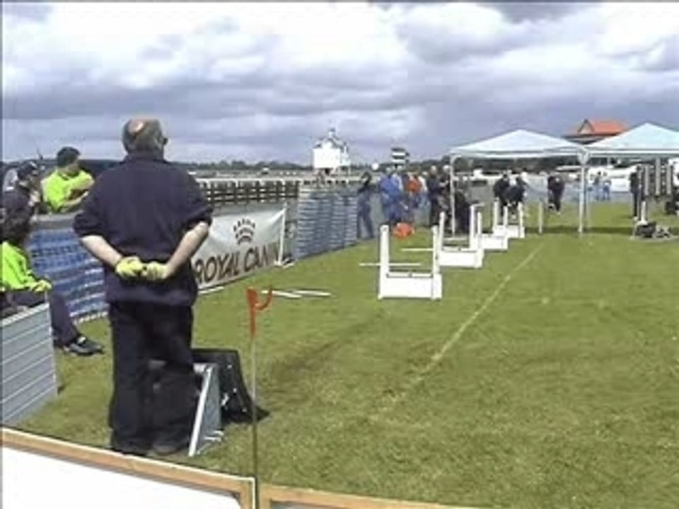 Flyball_video anglais