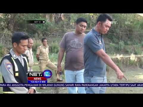 Seorang Warga di Maros, Sulsel Diduga Terinfeksi Antraks NET 12