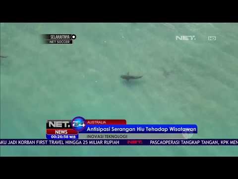 Drone Dioperasikan di Pantai Australia, Demi Mencegah Serangan Hiu Pada Wisatawan NET 24