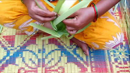How to Make Small Basket with Palm Tree Leaves