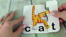 Learn To Read & Spell With 3 Letter Sight Words! Easy ABC 3 Letter Word Phonics
